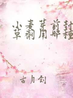 小麦芽前封闭除草剂用哪种