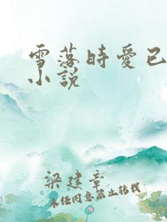雪落时爱已落幕小说