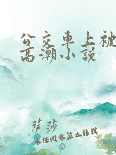 公交车上被摸到高潮小说