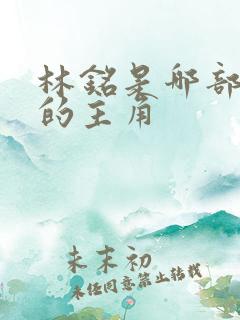 林铭是哪部小说的主角