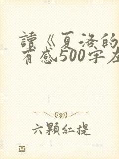 读《夏洛的网》有感500字左右