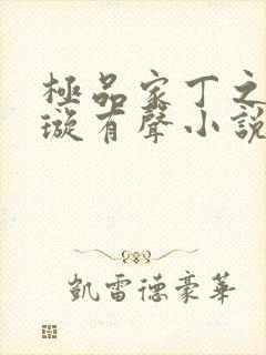 极品家丁之肖青璇有声小说