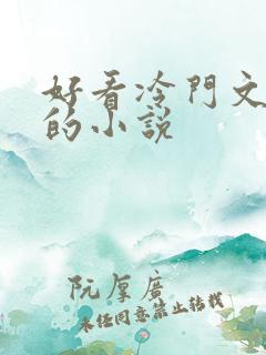 好看冷门文笔好的小说