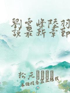 刘云峰陆羽的小说最新章节