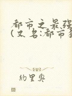 都市之最强狂兵(又名:都市狂枭) 小说