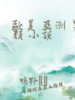 欧美 亚洲 另类 小说