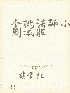 全职法师小说无删减版