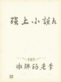 强上小说h