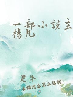 一部小说主角叫杨凡
