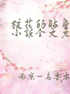 校花的贴身高手小说全文免费阅读