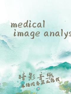 medical image analysis期刊投稿