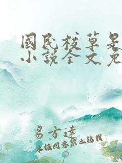 国民校草是女生小说全文免费阅读