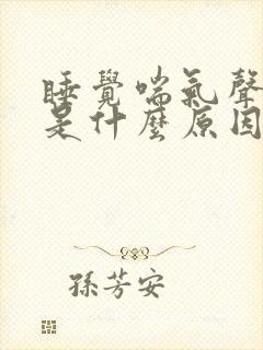 睡觉喘气声音大是什么原因导致的