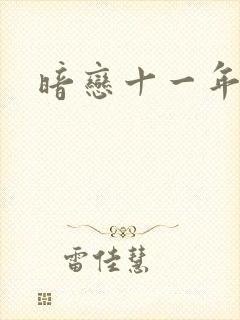 暗恋十一年小说