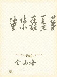 他站在夏花绚烂里小说免费全文阅读