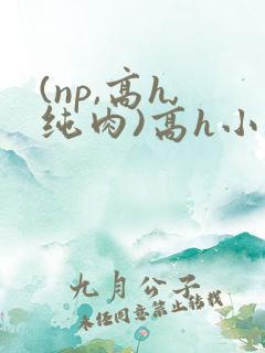 (np,高h,纯肉)高h小说