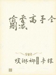 偷香高手全文无删减