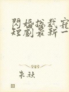 闪婚总裁宠上天短剧最新一集