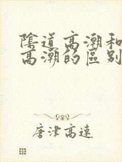 阴道高潮和阴蒂高潮的区别