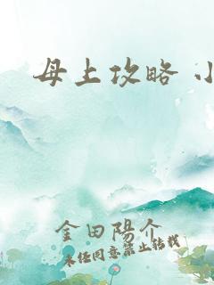 母上攻略 小说