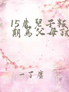 15岁儿子叛逆期骂父母该怎么办