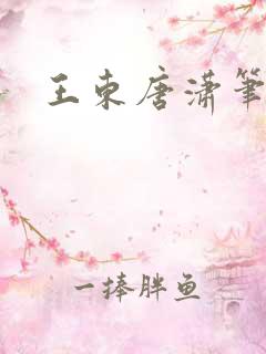 王东唐潇笔趣阁
