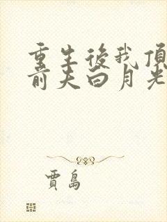 重生后我顶替了前夫白月光全集