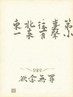 东北往事第二部一来有声小说