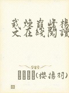 武炼巅峰杨开全文在线阅读
