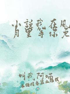 小说我在风花雪月里等你免费阅读