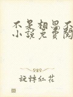不是相思不落愁小说免费阅读