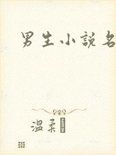 男生小说名字
