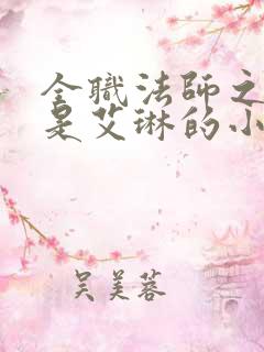 全职法师之女主是艾琳的小说
