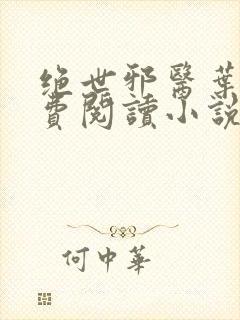 绝世邪医叶凡免费阅读小说