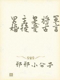 男主是将军的先婚后爱古言