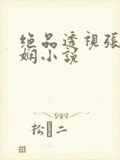 绝品透视张均林娴小说