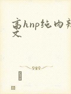 高hnp纯肉辣文
