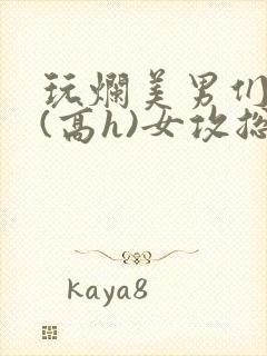 玩烂美男们总攻(高h)女攻总攻