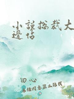 小说总裁大人靠边站
