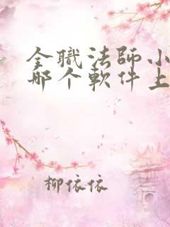 全职法师小说在哪个软件上免费