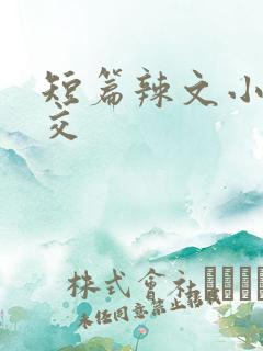短篇辣文小说公交