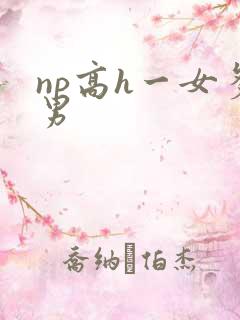 np高h一女多男