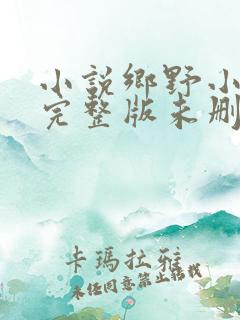 小说乡野小傻医完整版未删减小说