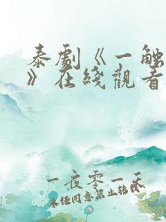 泰剧《一触即爱》在线观看