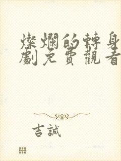灿烂的转身连续剧免费观看全集