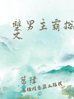 双男主霸总甜宠文