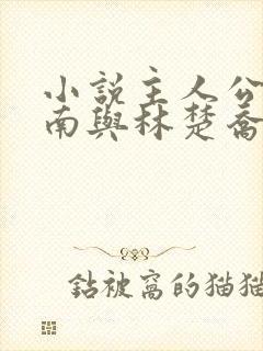 小说主人公李向南与林楚乔免费阅读