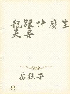 龙跟什么生肖是夫妻