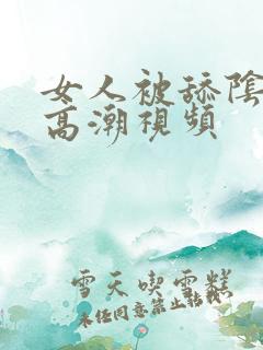 女人被舔阴蒂的高潮视频