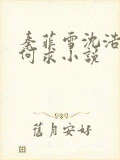 秦菲雪沈浩一生何求小说